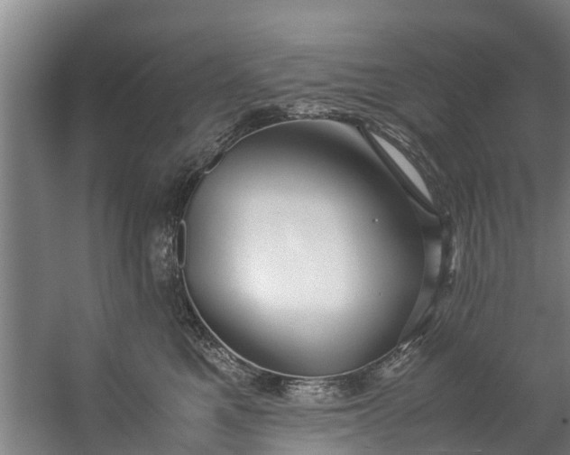 X0000059850521200511041843