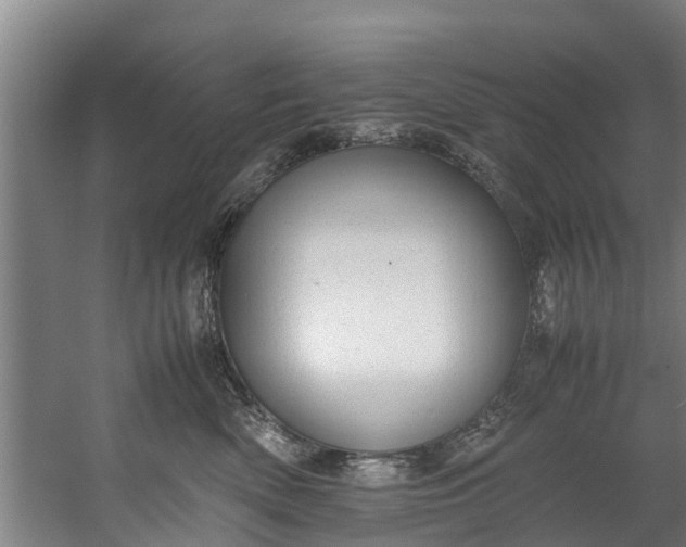 X0000059850522200511041842