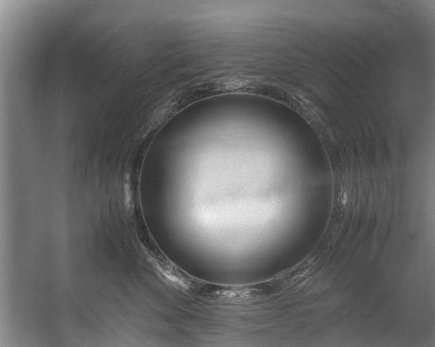 X0000059850524200511041842