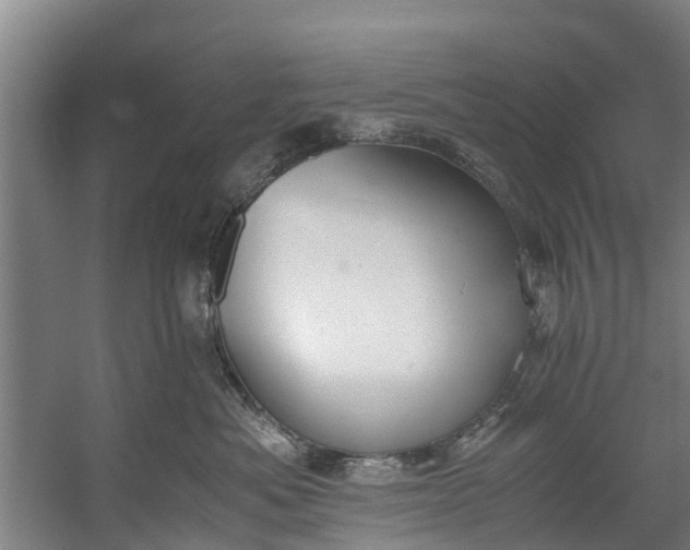 X0000059850525200511041842