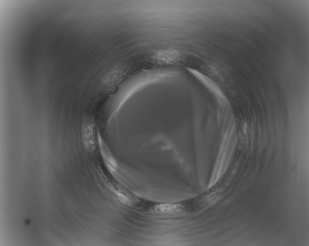 X0000059850526200511041842