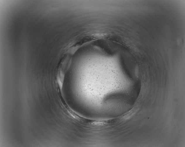 X0000059850528200511041842