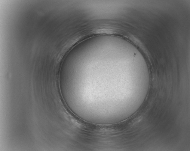 X0000059850529200511041842