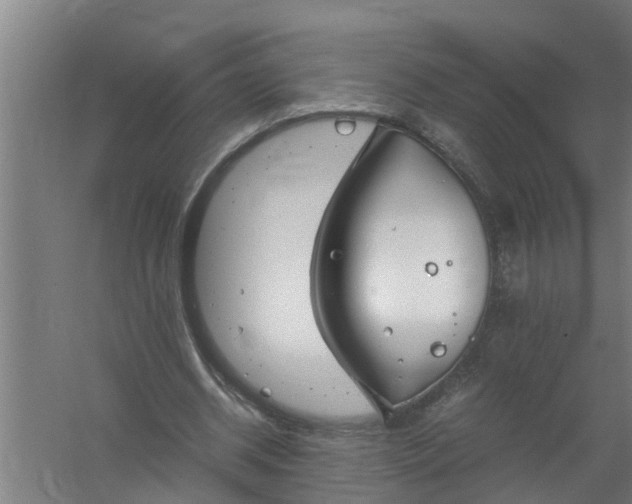 X0000059850534200511041842