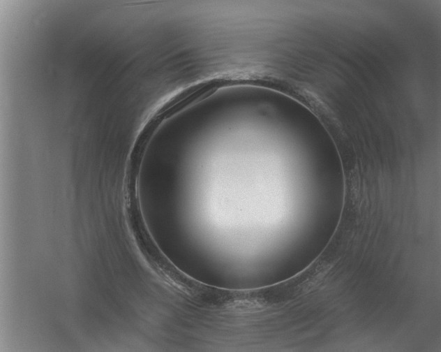 X0000059850536200511041842