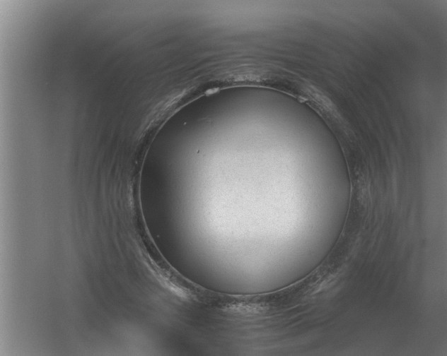 X0000059850537200511041842