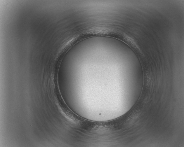 X0000059850538200511041842