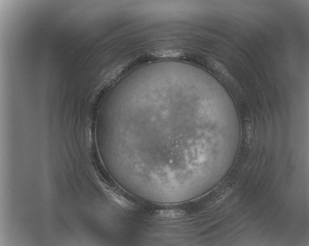 X0000059850541200511041842