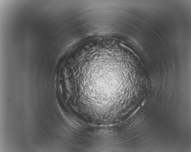 X0000059850542200511041842