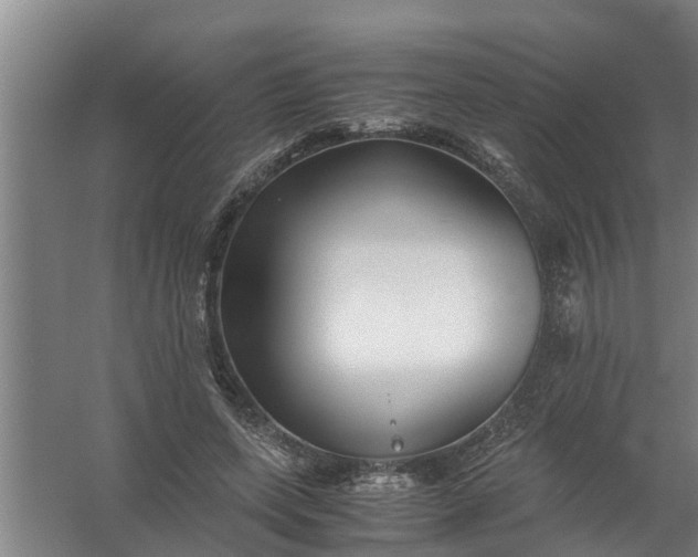 X0000059850543200511041842