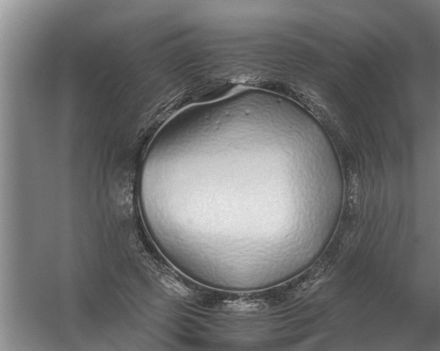 X0000059850545200511041842