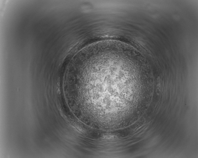 X0000059850547200511041842