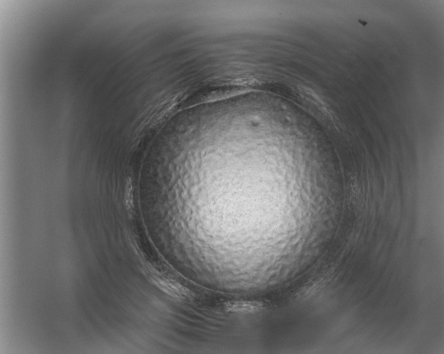 X0000059850549200511041842