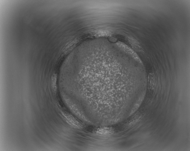 X0000059850550200511041842