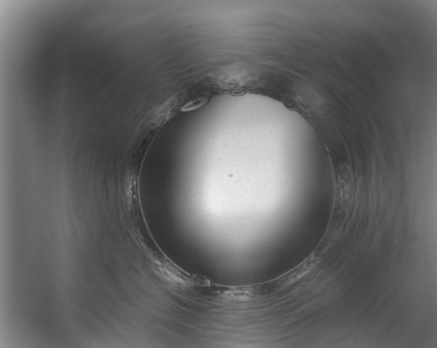 X0000059850574200511041842