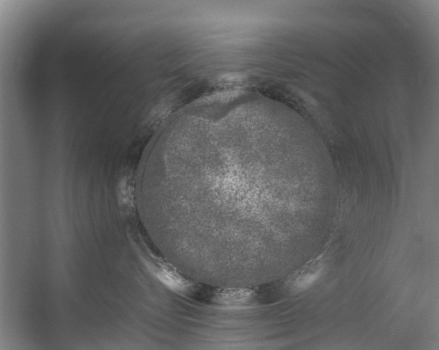 X0000059850576200511041842