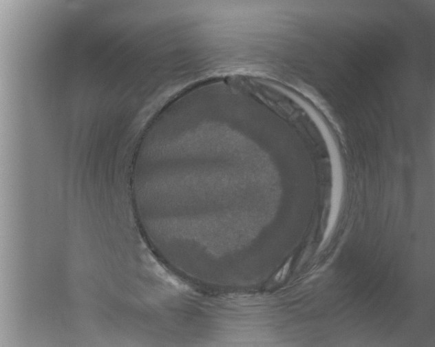 X0000059850577200511041842