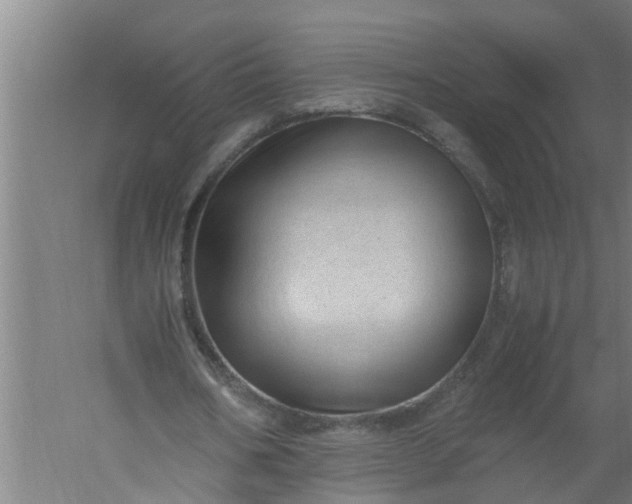 X0000059850578200511041842