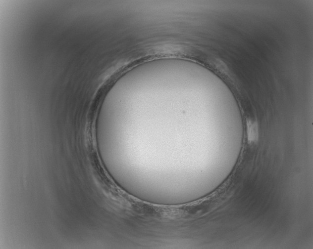 X0000059850579200511041842