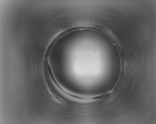 X0000059850580200511041842