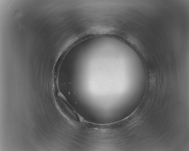 X0000059850582200511041841