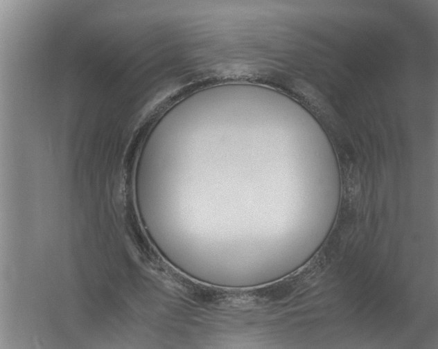 X0000059850583200511041841