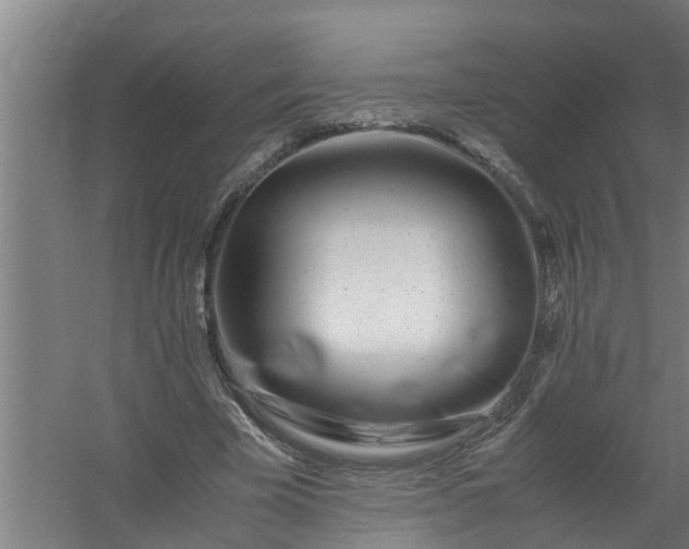 X0000059850585200511041841