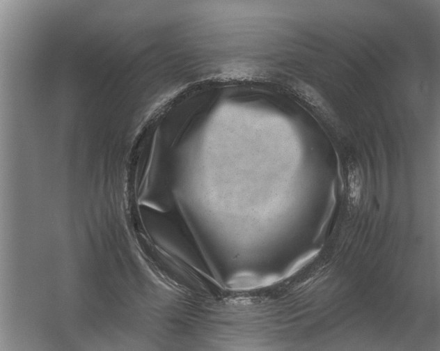 X0000059850588200511041841