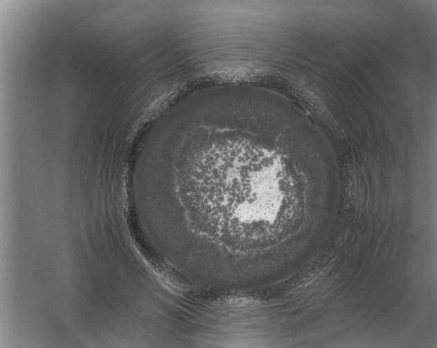 X0000059850590200511041841