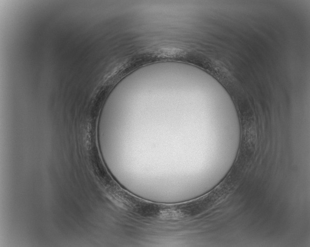 X0000059850591200511041841