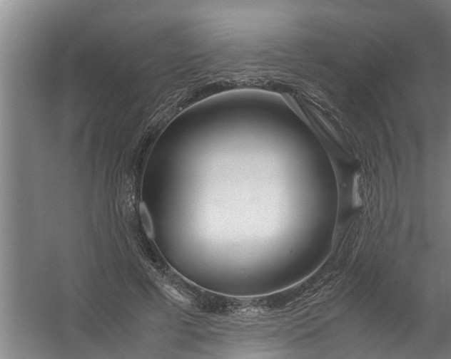 X0000059850593200511041841