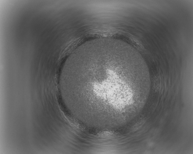 X0000059850594200511041841