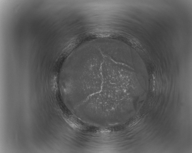 X0000059850598200511041841