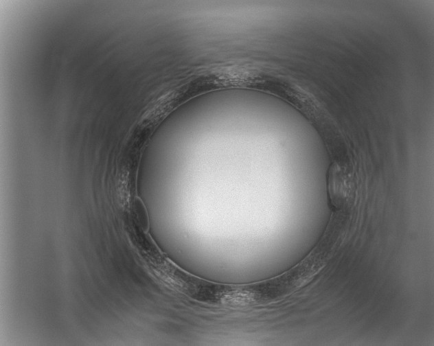 X0000059850599200511041841