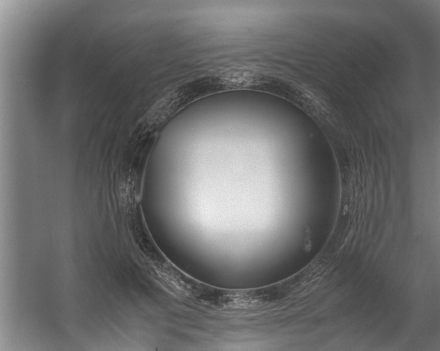 X0000059850601200511041841