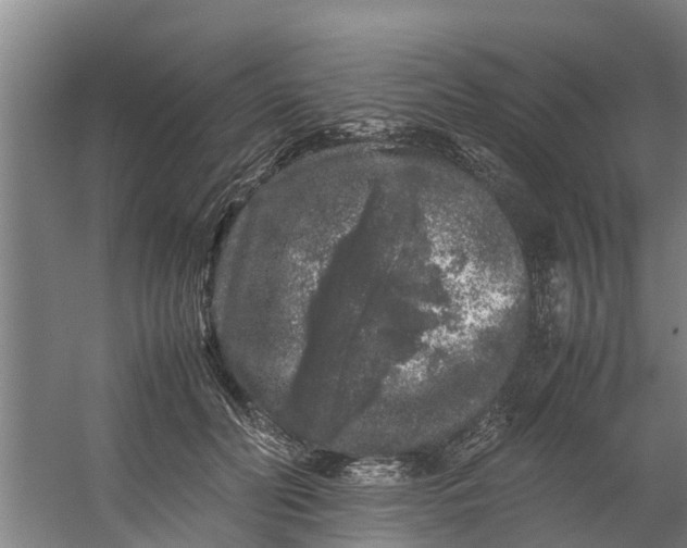 X0000059850606200511041841