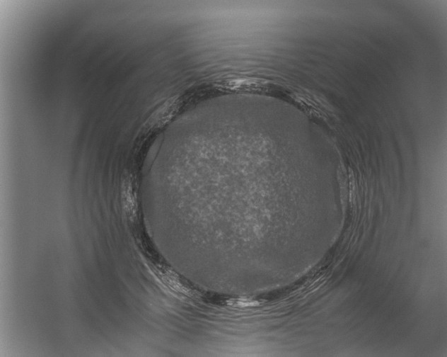 X0000059850607200511041841