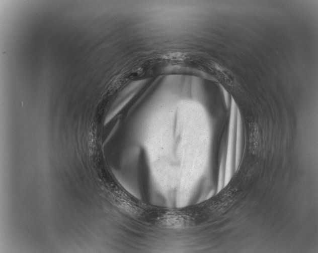 X0000059850608200511041841