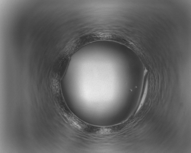 X0000059850609200511041841