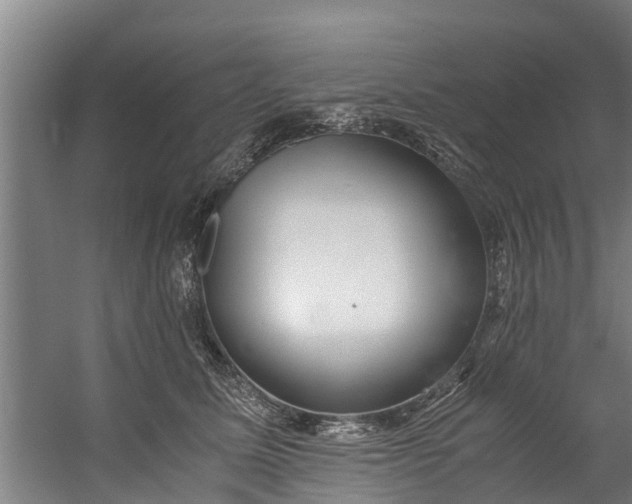 X0000059850611200511041841