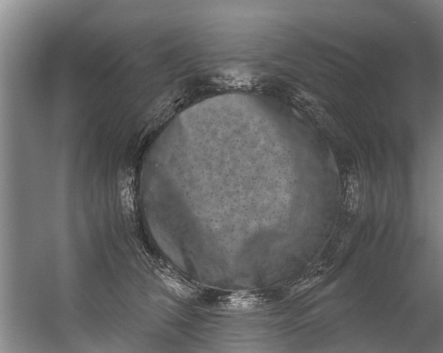 X0000059850612200511041841