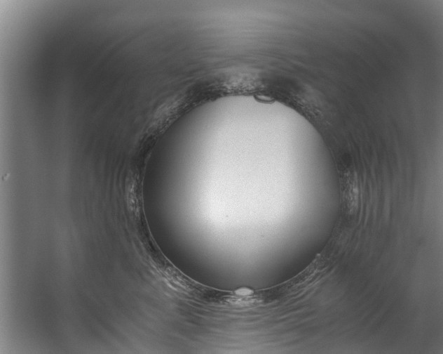 X0000059850619200511041841