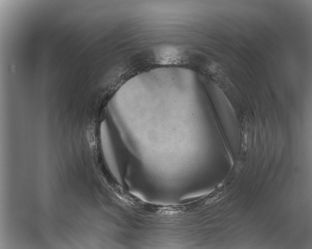 X0000059850620200511041841