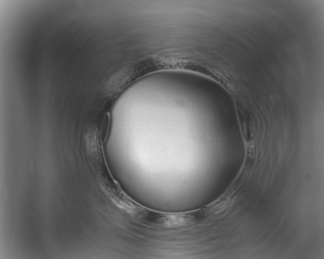 X0000059850623200511041841