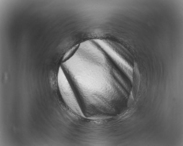 X0000059850624200511041841