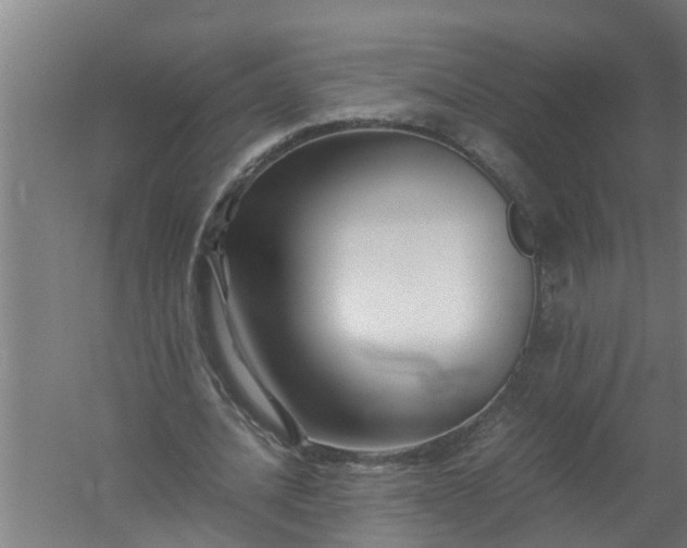 X0000059850628200511041840