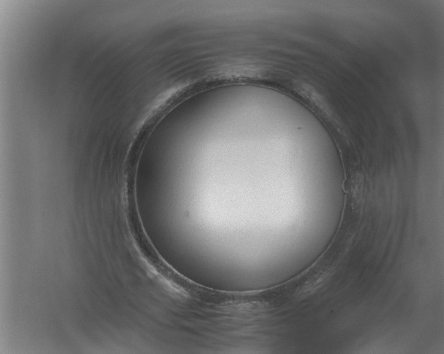 X0000059850629200511041840