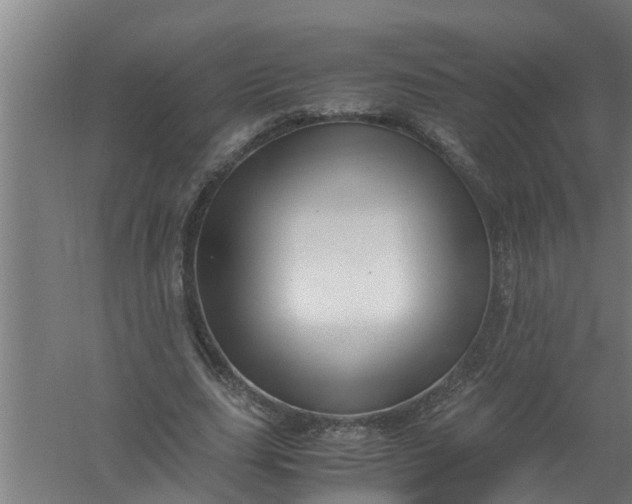 X0000059850631200511041840