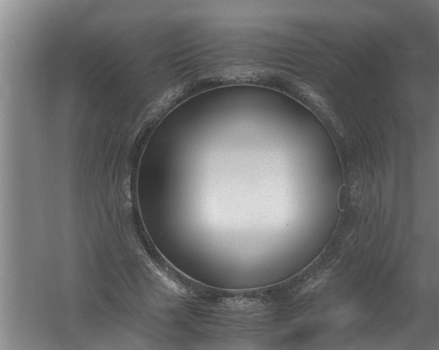 X0000059850633200511041840