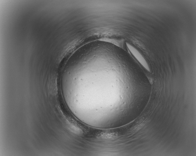 X0000059850638200511041840